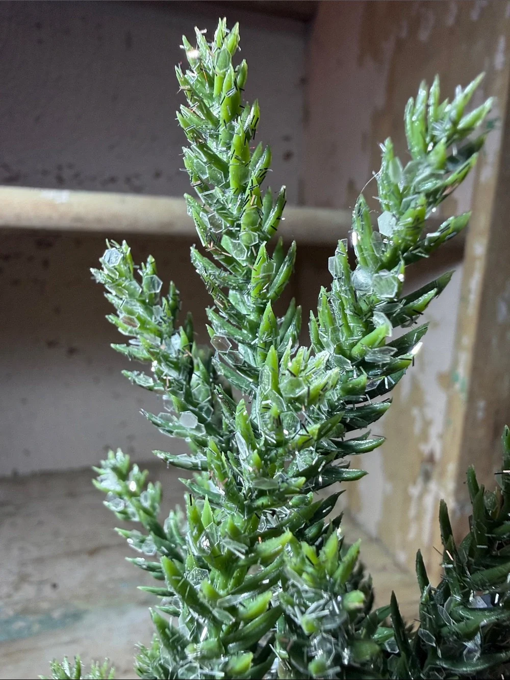N/A small green